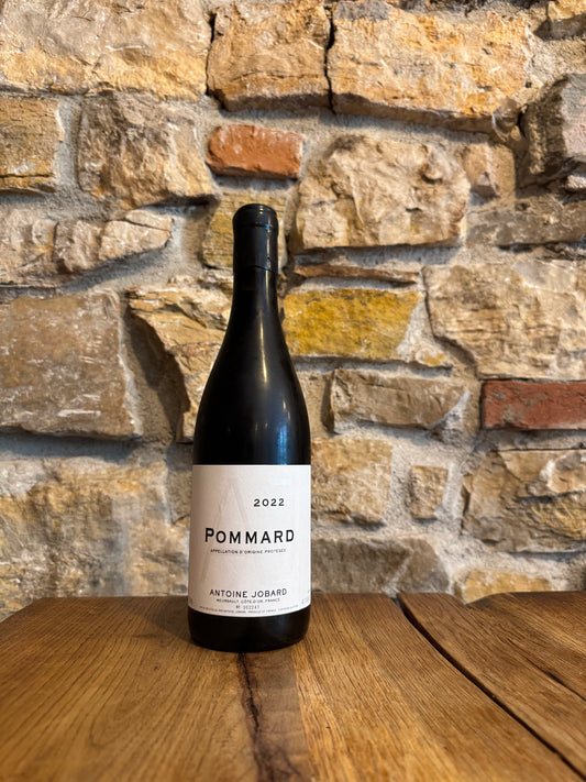 Antoine Jobard - Pommard 2022
