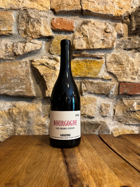 Santini - Bourgogne "Les Champs Pernin" 2022